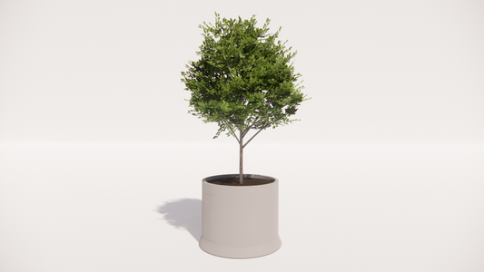 Concrete Planter - Large