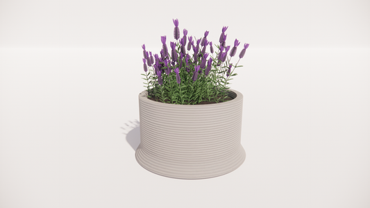 Concrete Planter - Small